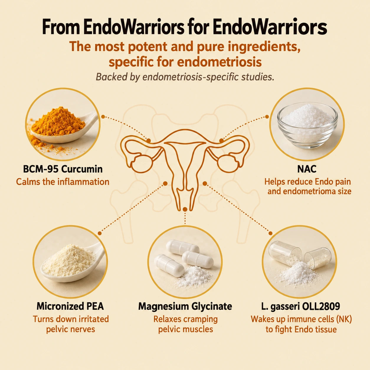 Endora From Endo Warriors to Endo Warriors..p