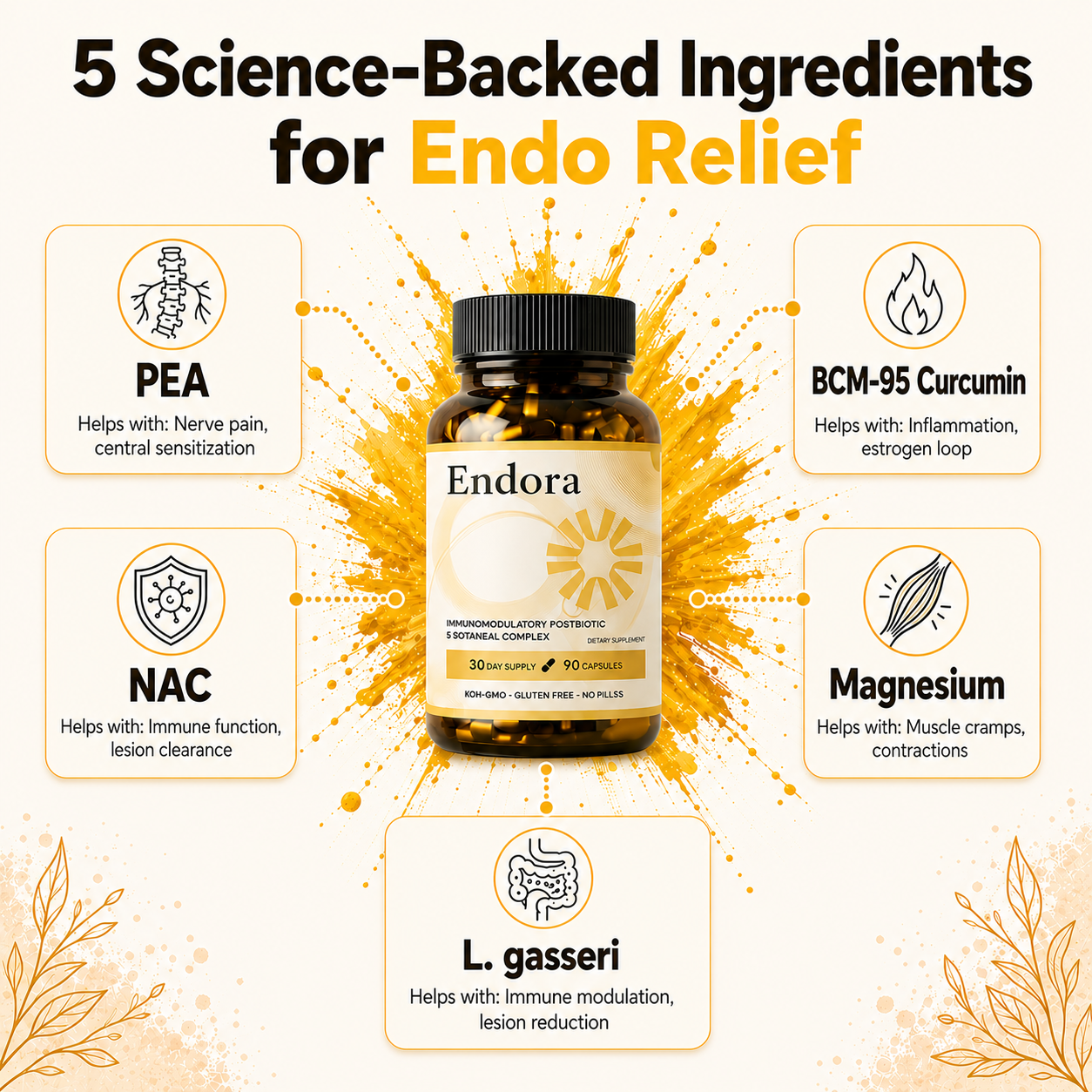Endora - From Endo Warriors to Endo Warriors